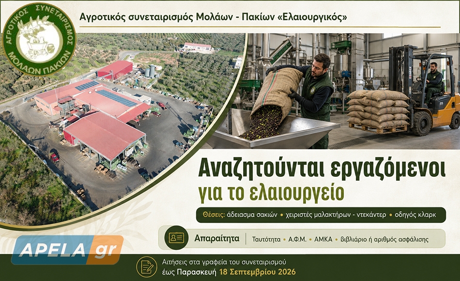 Ο Αγροτικός Συνεταιρισμός Μολάων – Πακίων ελαιουργικός αναζητά εργάτες
